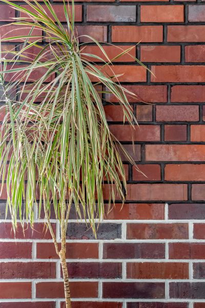 Brick Facing Service